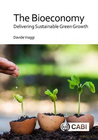 The Bioeconomy: Delivering Sustainable Green Growth - Davide Viaggi [KSIĄŻKA]