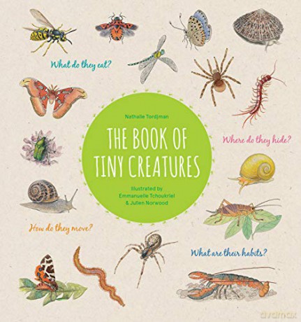 The Book of Tiny Creatures - Nathalie Tordjman [KSIĄŻKA]