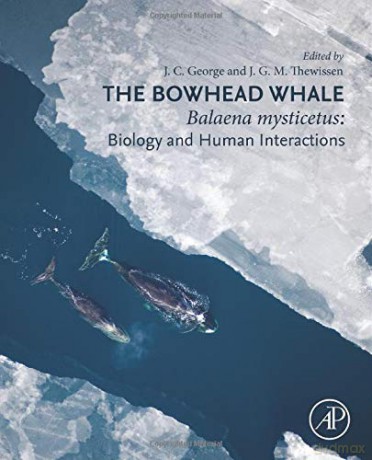 The Bowhead Whale: Balaena Mysticetus: Biology and Human Interactions - J.C. George [KSIĄŻKA]