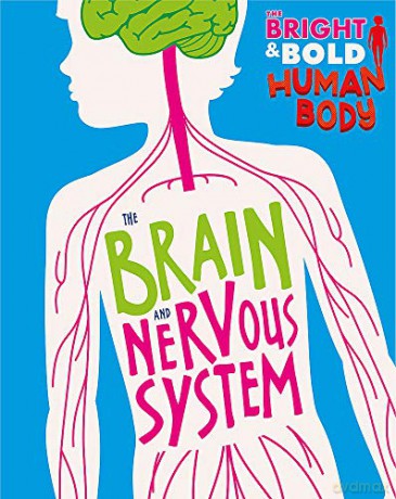 The Brain and Nervous System (The Bright and Bold Human Body) - Izzi Howell [KSIĄŻKA]