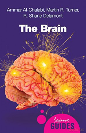 The Brain: A Beginner's Guide (Beginner's Guides) - Ammar Al-Chalabi [KSIĄŻKA]