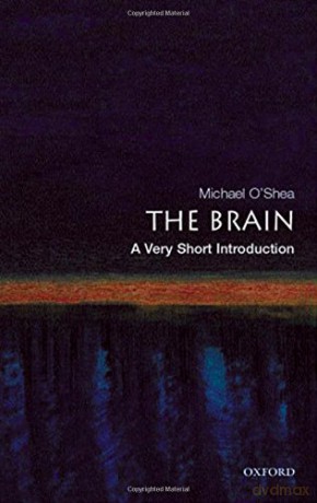 The Brain: A Very Short Introduction (Very Short Introductions) - Michael O'Shea [KSIĄŻKA]