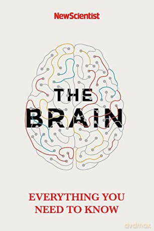 The Brain: Everything You Need to Know - New Scientist [KSIĄŻKA]