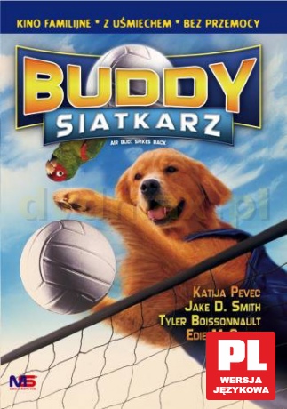 Buddy siatkarz [DVD]