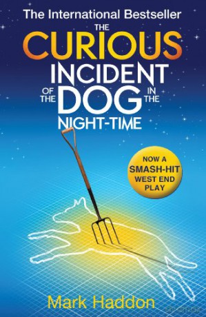 The Curious Incident of the Dog In the Night-time - Mark Haddon [KSIĄŻKA]