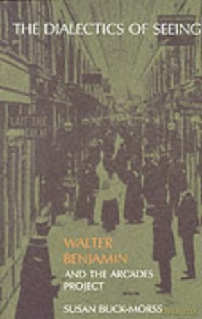 The Dialectics of Seeing: Walter Benjamin and the Arcades Project (Studies in Contemporary German Social Thought) - Susan Buck Morss [KSIĄŻKA]