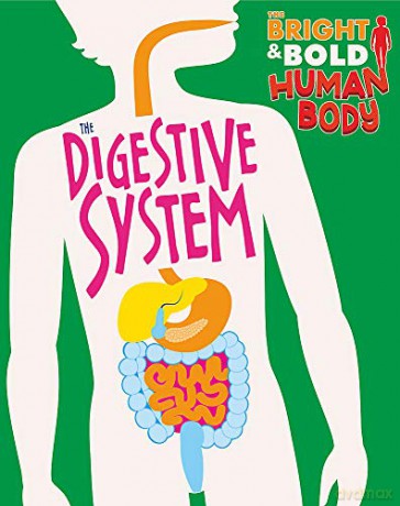 The Digestive System (The Bright and Bold Human Body) - Izzi Howell [KSIĄŻKA]