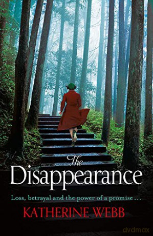 The Disappearance - Katherine Webb [KSIĄŻKA]