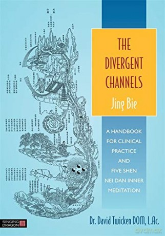 The Divergent Channels - Jing Bie: A Handbook for Clinical Practice and Five Shen Nei Dan Inner Meditation - LAc Dr David Twicken DOM [KSIĄŻKA]