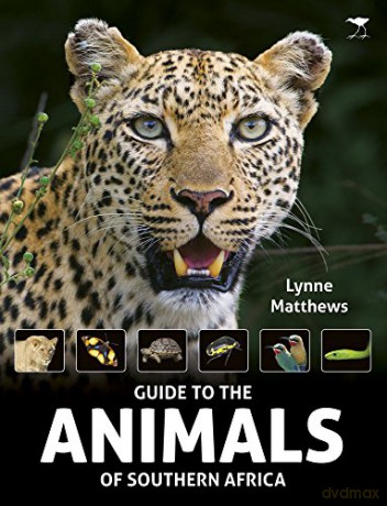 The Guide to the animals of Southern Africa - Lynne Matthews [KSIĄŻKA]