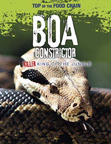 Top of the Food Chain: Boa Constrictor: Killer King of the Jungle - Louise Spilsbury [KSIĄŻKA]