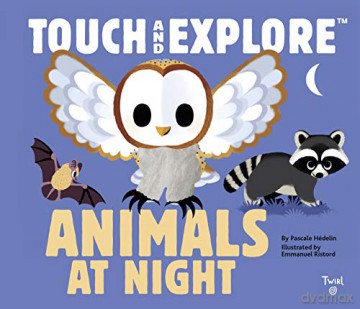 Touch and Explore: Animals at Night 0: 10 - Pascale Hedelin [KSIĄŻKA]