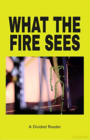 What the Fire Sees: A Divided Reader [KSIĄŻKA]