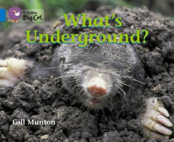 What's Underground: This book reveals the amazing things that happen underground. (Collins Big Cat) - Gill Munton [KSIĄŻKA]
