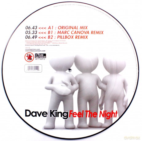 Feel The Night (Picture Disc) [Winyl]