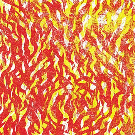 The Bug: Fire [CD]