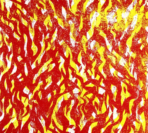 The Bug: Fire [CD]