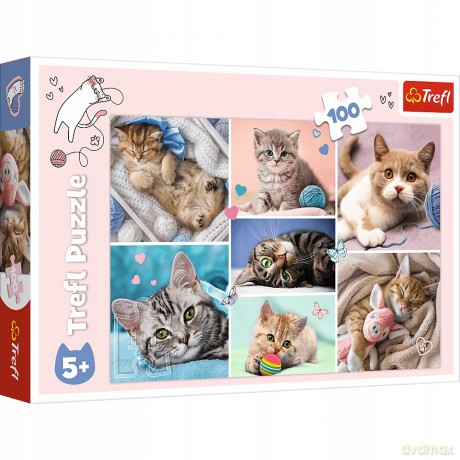 TREFL 100 el. W kocim świecie (16420) [PUZZLE]