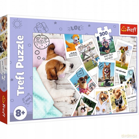 TREFL 300 el. Zdjęcia z wakacji (23003) [PUZZLE]