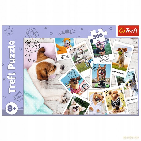 TREFL 300 el. Zdjęcia z wakacji (23003) [PUZZLE]