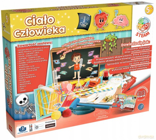TREFL S4Y PL Ciało człowieka LARGE (61531)