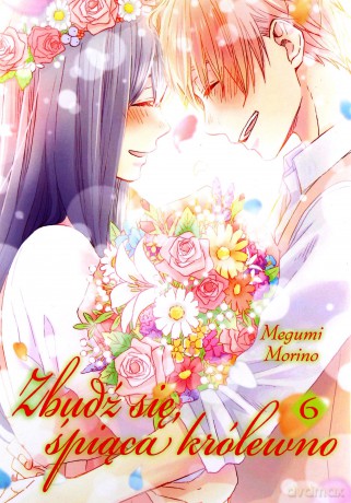 Zbudź się śpiąca królewno (Tom 6) - Megumi Morino [KOMIKS]