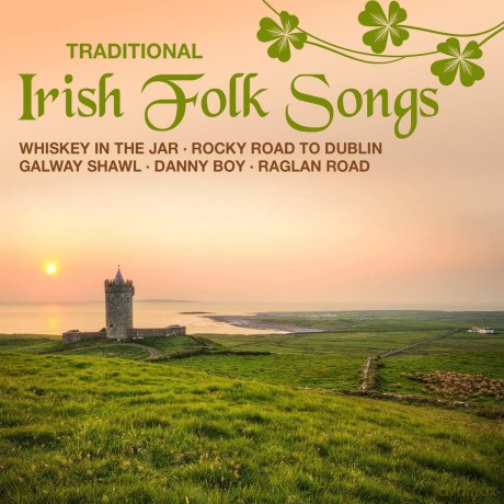 Traditional Irish Folk Songs [2CD]