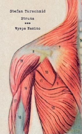 Struna Wyspa Nazino - Stefan Turschmid [KSIĄŻKA]