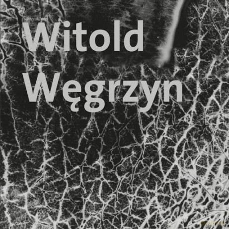 Witold Węgrzyn Nieuchwytna materialność - Witold Węgrzyn [KSIĄŻKA]