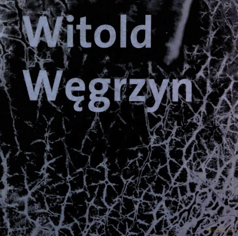 Witold Węgrzyn Nieuchwytna materialność - Witold Węgrzyn [KSIĄŻKA]