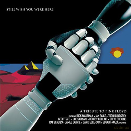 A Tribute To Pink Floyd - Still Wish You Were Here [CD]