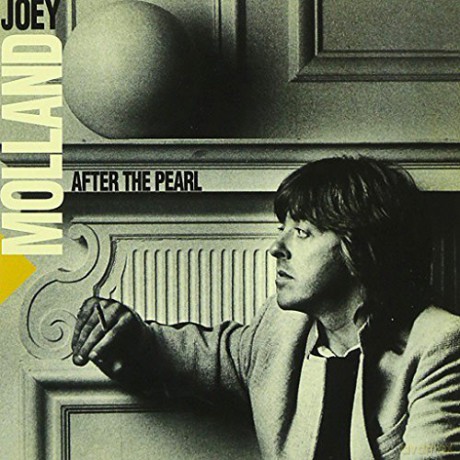 Joey Molland: After The Pearl [CD]
