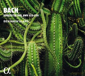 Benjamin Alard: Bach: Sonates En Trio. Bwv 525-530 [CD]