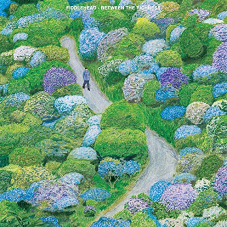 Fiddlehead: Between The Richness [CD]