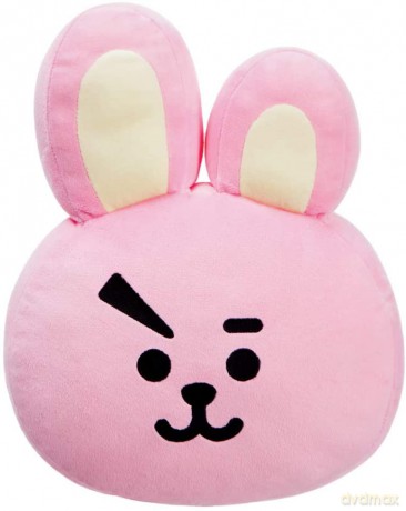 Bt21: COOKY Cushion 14.5In maskotka