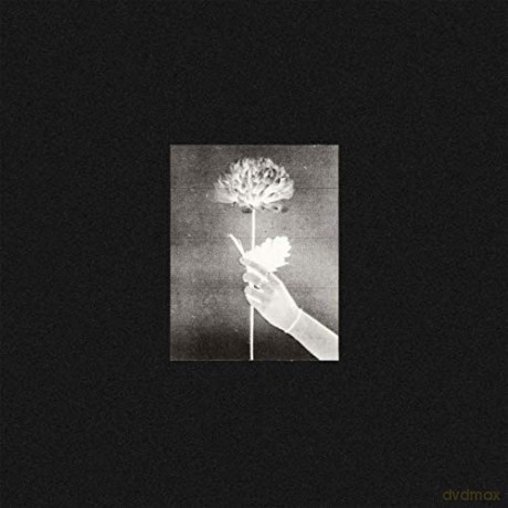 White Flowers: Day By Day [CD]
