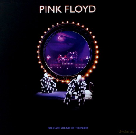 Pink Floyd: Delicate Sound Of Thunder [3xWinyl]