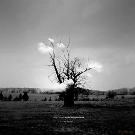 Kazuya Nagaya: Dream Interpretation (The Remixes) [3xWinyl]