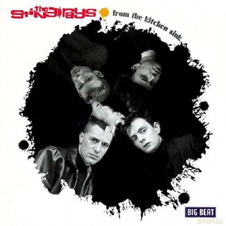 Sting-Rays: From The Kitchen Sink [CD]