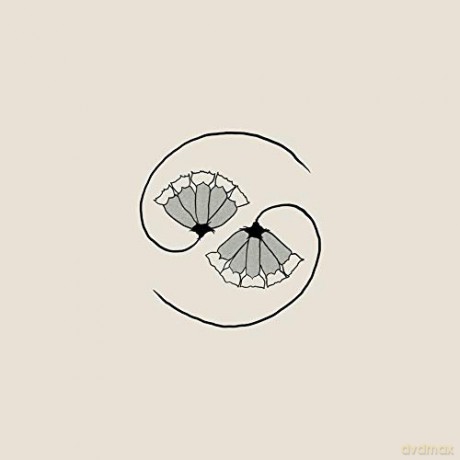 Godspeed You! Black Emperor: G D's Pee At State's End [2xWinyl]