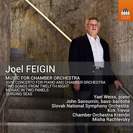 Joel Feigin: Music For Chamber Orchestra [CD]