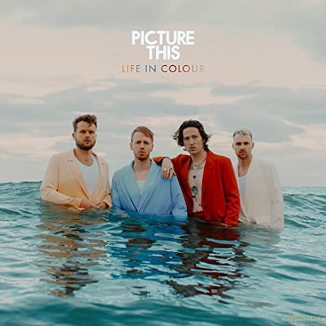 Picture This: Life In Colour [CD]