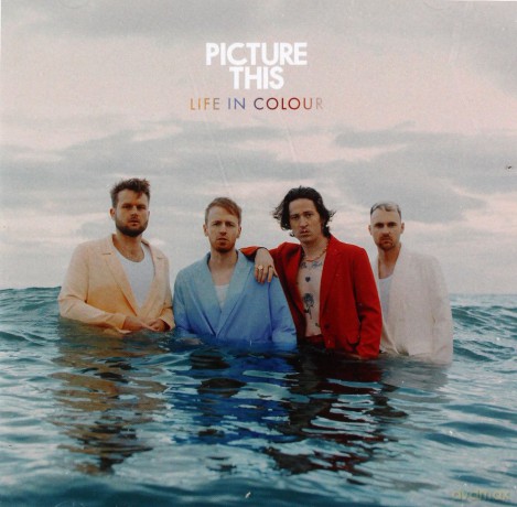 Picture This: Life In Colour [CD]