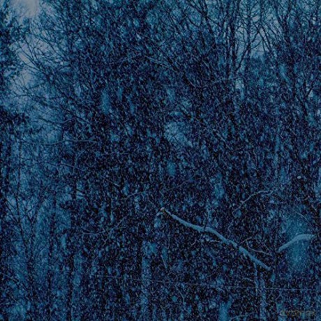 Jesu: Never EP [Winyl]