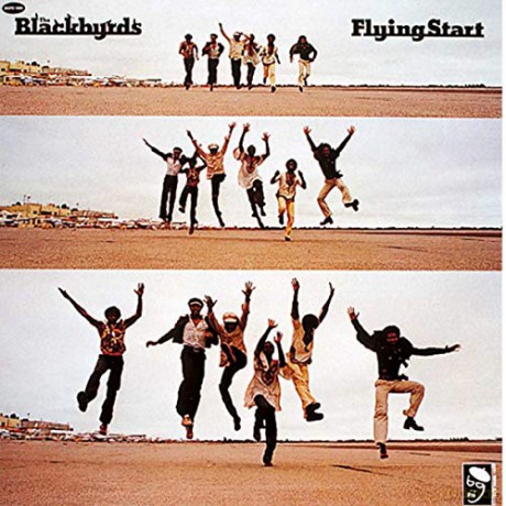 Blackbyrds: Night Grooves [Winyl]