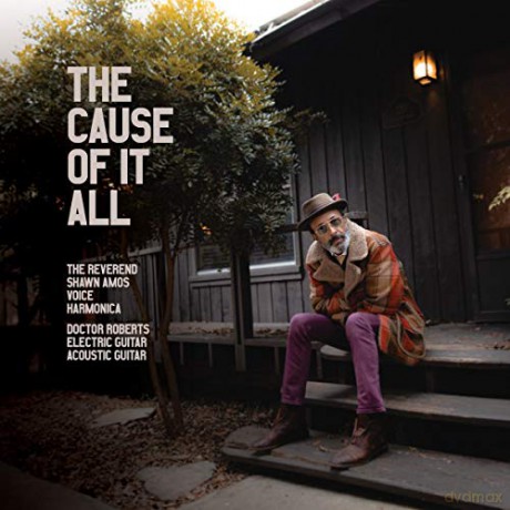 Reverend Shawn Amos: The Cause Of It All [CD]