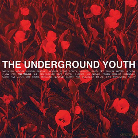 Underground Youth: The Falling [CD]
