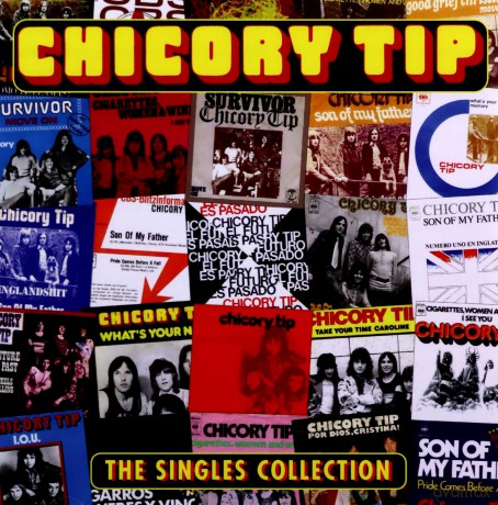 Chicory Tip: The Singles Collection [CD]