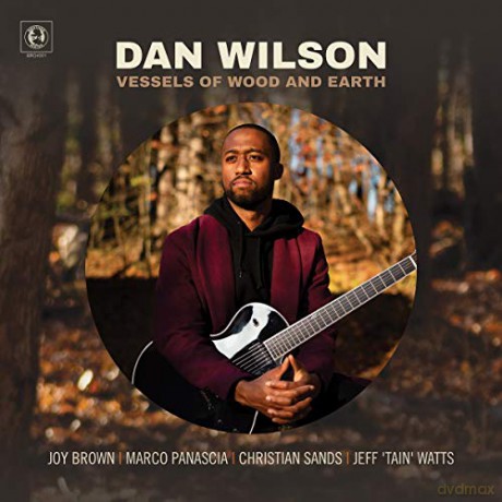 Dan Wilson: Vessels Of Wood And Earth [CD]