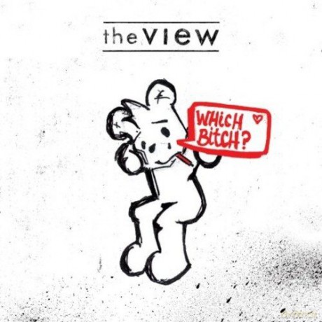 View: Which Bitch [Winyl]